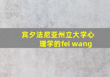 宾夕法尼亚州立大学心理学的fei wang